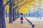 Beautiful Girl With Yellow Leaves In Nami Island, Korea. Vintage Tone Style Stock Photo