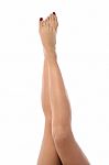 Beautiful Long Slender Female Legs Stock Photo