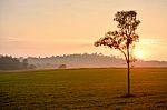 Beautiful Morning Light Fog Lights, Trees, Mountains, Beautiful Stock Photo