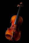 Beautiful Violin Stock Photo