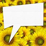Beautiful Yellow Sunflower Petals Closeup Background With Quote Stock Photo