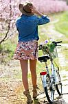 Beautiful Young Woman With A Vintage Bike In The Field Stock Photo