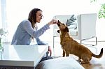Beautiful Young Woman With Dog Playing At Home Stock Photo