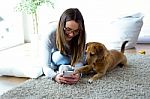 Beautiful Young Woman With Her Dog Using Mobile Phone At Home Stock Photo