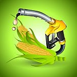 Bio Concept Fuel From Corn Stock Photo