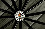 Black And White Image Of Colored Pencils With Isolated Pencil Ag Stock Photo