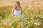 Blond Girl On The Camomile Field Stock Photo