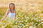 Blond Girl On The Camomile Field Stock Photo