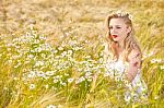 Blond Girl On The Camomile Field Stock Photo