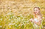 Blond Girl On The Camomile Field Stock Photo