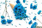 Blue Chrysanthemum Ice Cream Cone Flower Beautiful Fresh Stock Photo