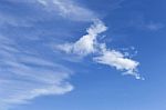 Blue Sky And The White Cloud In Summer Stock Photo