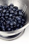 Blueberry Colander Stock Photo