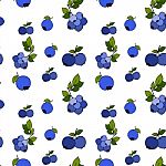 Blueberry Seamless Pattern By Hand Drawing On White Backgrounds Stock Photo