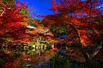 Blur Abstract Of Autumn Foliage At Daigoji Temple Stock Photo