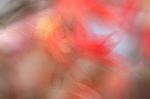Blurred Autumn Leaves Background. Blurred Nature Background Stock Photo