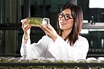 Botanist Checking Plant Bottle Stock Photo