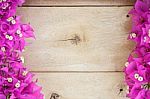 Bougainvillea Flower Space Blank On Wood Background Stock Photo