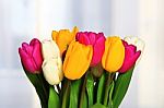 Bouquet Of Tulips Close-up Stock Photo