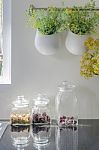 Bowl Of Plants Hang On Bar Rail With Glass Vase Stock Photo