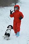 Boy And Dog Throwing Snowballs Stock Photo
