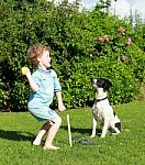 Boy Playing Cricket With Spaniel Dog Stock Photo