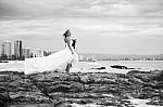 Bride At Snapper Rock Beach In New South Wales Stock Photo