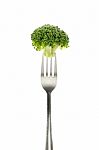 Broccoli On Fork Stock Photo