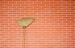 Broom Stick On Brick Wall Stock Photo