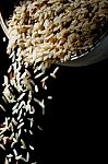 Brown Rice Stock Photo