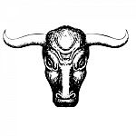 Bull On White Background Stock Photo