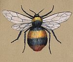 Bumblebee Painting Stock Photo