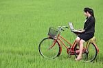 Business Girl In Paddy Field Stock Photo