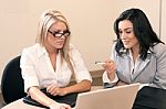 Business Girls In Meeting Stock Photo