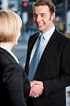 Business Handshake, The Deal Stock Photo