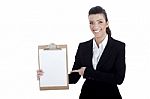 Business Lady Pointing The Plain Paper Stock Photo