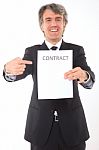 Businessman With Contract Paper Stock Photo