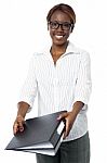 Businesswoman Giving Her Files Stock Photo