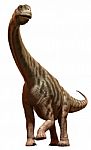 Camarasaurus Stock Photo