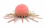 Cancer Cell Stock Photo
