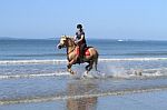 Cantering A Horse In The Sea Stock Photo