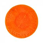 Carrot Closeup Stock Photo