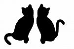 Cats On White Background Stock Photo