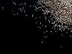 Chia Seed On Black Backgroung Stock Photo