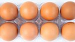 Chicken Eggs In A Plastic Carton Stock Photo