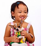 Child Holding Her Pet Chihuahua Stock Photo