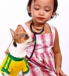 Child Taking Care Of Chihuahua Stock Photo