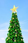 Christmas Tree Stock Photo