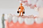 Close-up Of Miniature People Worker Cleaning Tooth Model As Medical And Healthcare. Idea For Cleaning Dental Care Or Dentist Stock Photo