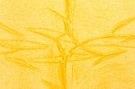 Close-up Yellow Fabric Textile Texture Stock Photo